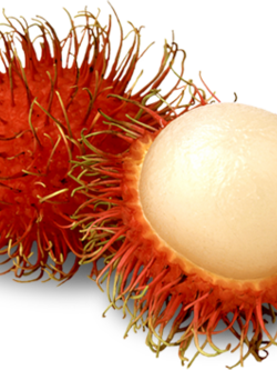 Dehydrated Rambutan with Lychee Flavor (เงาะรสลิ้นจี่อบแห้ง)