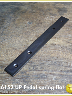 36152 UP Pedal spring flat