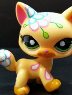 แมว Maine coon สีส้ม ตาสีเขียว tattoo