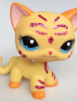 แมว Short Hair สีส้ม ตาสีฟ้า แต่งวิ้งค์