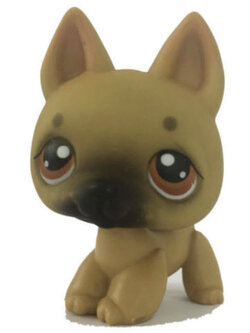 สุนัข สีน้ำตาล