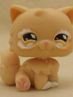 แมวเปอเซีย (Persian cat) สีส้ม แต่งตาวิงค์ (หายากมาก)