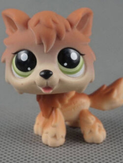 แมววูล์ฟ (Wolf cat) สีน้ำตาล ตาแซมเขียว #2141