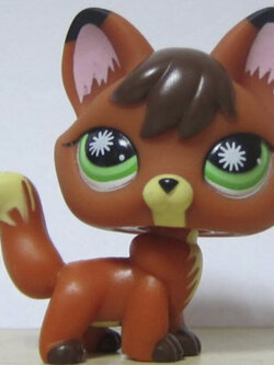 สุนัขจิ้งจอก สีส้ม ตาสีเขียว ตาเกล็ดหิมะสีขาว #807