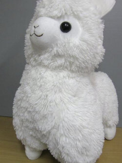 อัลปาก้า (Alpaca) ขนาดสูง 20 นิ้ว (มือสอง)