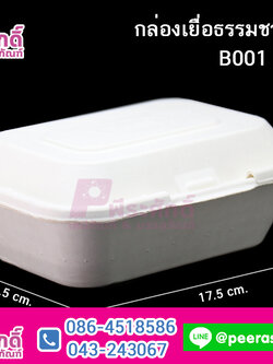 Fest B001 กล่องเยื่อธรรมชาติ 600ml.