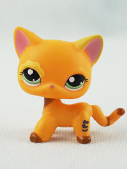 แมว Short Hair สีส้ม ตาสีเขียว #1643