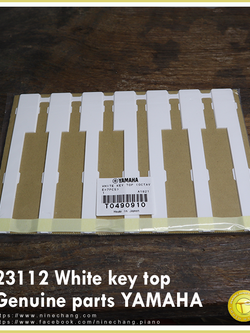 23112 White key top 1octave/pack Genuine parts YAMAHA