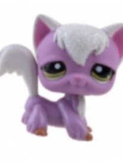 แมว Angola สีม่วง-ขาว ตาสีเขียว