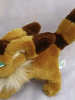 กระรอกหมาป่า TETO / fox squirrel ขนาด 8 นิ้ว