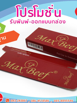 รับออก-พิมพ์กล่องกระดาษบรรจุภัณฑ์