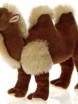 อูฐ "Bactrian" ขนาด 14 นิ้ว