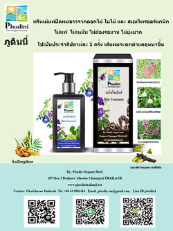 ทรีทเม้นท์ปิดผมขาว