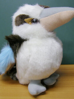 นกคุกคาบารา (Kookaburra) หรือนกขยันหัวเราะ ขนาด 12 นิ้ว