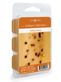2.5oz Odor Eliminating Wax Melt FALLING LEAVES