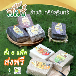 ข้าวอินทรีย์สุรินทร์ ข้าวหอมมะลิสุรินทร์ ข้าวปลอดสารสุรินทร์ ข้าวสุขภาพสุรินทร์ ข้าวเพื่อสุขภาพ โปรโมชั่น 6 แพ็ค 594 บาท จัดส่งฟรี