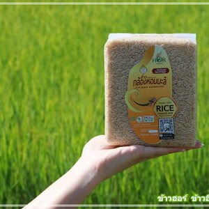 ข้าวหอมมะลิสุรินทร์ ข้าวกล้องหอมมะลิอินทรีย์สุรินทร์ ข้าวกล้องหอมมะลิปลอดสารสุรินทร์ ข้าวกล้องหอมมะลิออรืแกนิกสุรินทร์ ข้าวกล้องหอมมะลิจังหวัดสุรินทร์ ข้าวกล้องหอมมะลิสุขภาพสุรินทร์