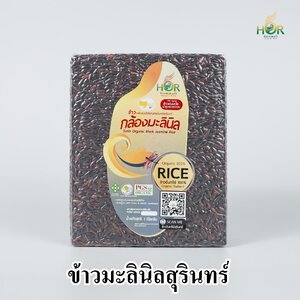 ข้าวมะลินิล ข้าวหอมมะลินิล มะลินิล ข้าวมะลินิลสุรินทร์ ข้าวหอมมะลินิลสุรินทร์ มะลินิลสุรินทร์