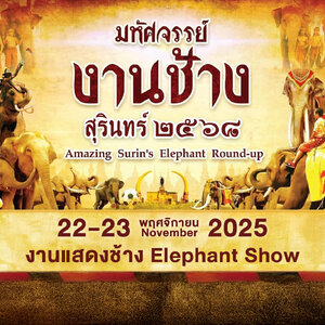 มหัศจรรย์งานช้างสุรินทร์ ประจำปี 2568 งานช้างสุรินทร์ 68 surin elephant show เที่ยวสุรินทร์ AMAZING SURIN ELEPHANT ROUNDUP 2025
