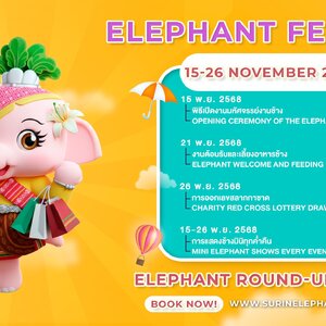 มหัศจรรย์งานช้างสุรินทร์ 2568 Surin Elephant Festival 2025 งานมหัศจรรย์งานช้าง งานเลี้ยงอาหารช้าง การแสดงช้างสุรินทร์