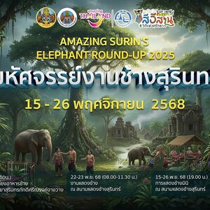 มหัศจรรย์งานช้างสุรินทร์ งานช้างสุรินทร์ งานช้าง จ.สุรินทร์ งานช้างจังหวัดสุรินทร์ มหัศจรรย์งานช้างสุรินทร์ 2568 งานช้างสุรินทร์ 2568 งานช้าง จ.สุรินทร์ 2568 งานช้างจังหวัดสุรินทร์ 2568