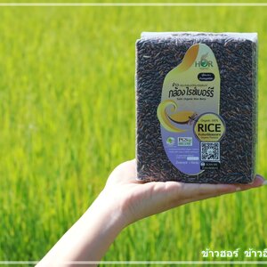 ข้าวไรซ์เบอรี่ ข้าวไรซ์เบอร์รี่ ข้าว Riceberry ข้าวไรซ์เบอร์รี่แท้ 100% ข้าวไรซ์เบอรี่สุรินทร์ ข้าวไรซ์เบอร์รี่สุรินทร์ Surin RiceBerry Surin