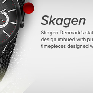 Skagen Men's Watches