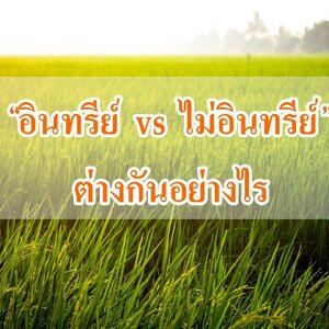 “อินทรีย์ (Organic) vs ไม่อินทรีย์” ต่างกันอย่างไร “เกษตรอินทรีย์ (Organic) vs เกษตรไม่อินทรีย์” ต่างกันอย่างไร?