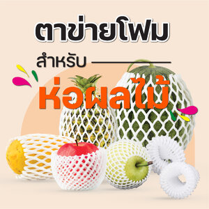 ตาข่ายโฟมห่อผลไม้
