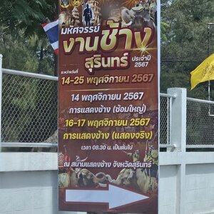 มหัศจรรย์งานช้างสุรินทร์ ประจำปี 2567 The 64th “Amazing Surin Elephant Round Up Festival 2024” Do not miss! 14-25 November 2024, Surin Province.