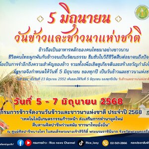 5 มิถุนายน วันข้าวและชาวนาแห่งชาติ ข้าวสุรินทร์ ข้าวหอมสุรินทร์ ข้าวหอมมะลิสุรินทร์ ข้าวชาวนาสุรินทร์ ข้าวจังหวัดสุรินทร์