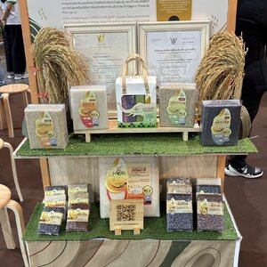 ข้าวสุรินทร์ ข้าว จ.สุรินทร์ ข้าวจังหวัดสุรินทร์ ออกบูทงาน Thailand Rice Fest เทศกาลข้าว