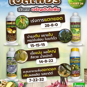 เกษตร 24 แชร์ความรู้!! ปุ๋ยน้ำ คุณภาพสูง