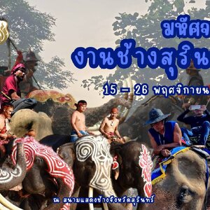 มหัศจรรย์งานช้างสุรินทร์ 2568 งานช้างสุรินทร์ 2568 งานช้าง2568 เที่ยวมหัศจรรย์งานช้างสุรินทร์ 2568 เที่ยวงานช้างสุรินทร์ 2568 เที่ยวงานช้าง2568