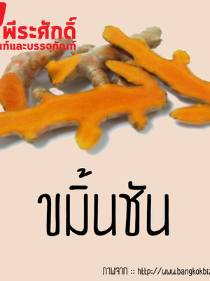 สารสกัดขมิ้นชัน 25 ml