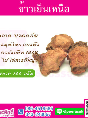 ข้าวเย็นเหนือ