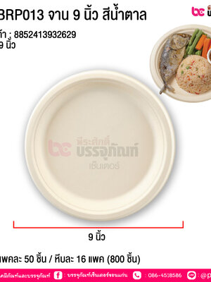 fest BRP013 จาน 9 นิ้ว สีน้ำตาล @ แพคละ 50ชิ้น / หีบละ 16 แพค (800 ชิ้น)