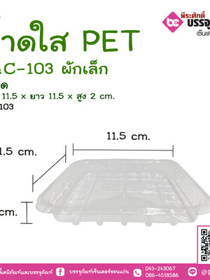 ถาดใสผักเล็ก PET S&C-103