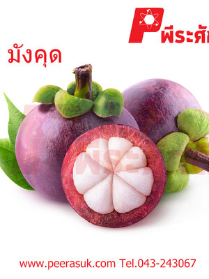 สารสกัดมังคุด 25 ml