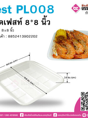Fest PT008 ถาดเฟสท์ 8*8นิ้ว @50ชิ้น