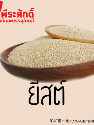 สารสกัดยิสต์ 25 ml