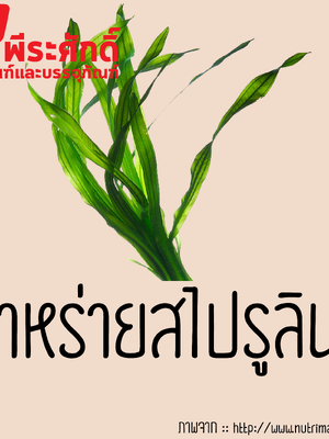 สารสกัดสาหร่ายสไปรูลิน่า 25 ml