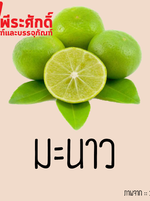 สารสกัดมะนาว 25 ml