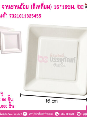Duni จานชานอ๋อย (สีเหลี่ยม) 16*16ซม.