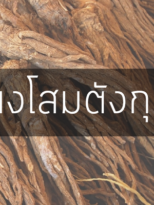 ผงโสมตังกุย 100 กรัม