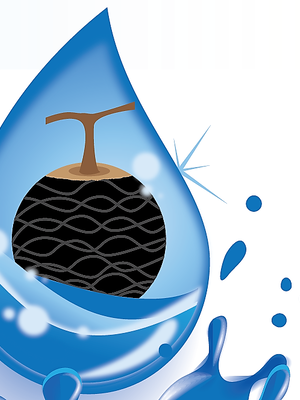 สารสกัดมะคำดีควาย 25 ml