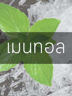 เมนทอล (Menthol Crystal)