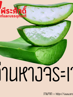 สารสกัดว่านหางจระเข้ 25 ml