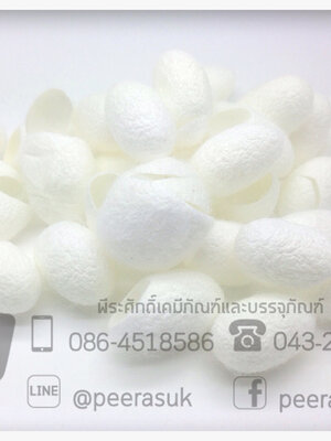 รังไหมสีขาว 1 กิโลกรัม