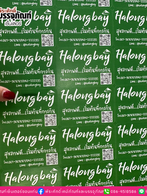 ผลงานสติ๊กเกอร์ " Halongbay"